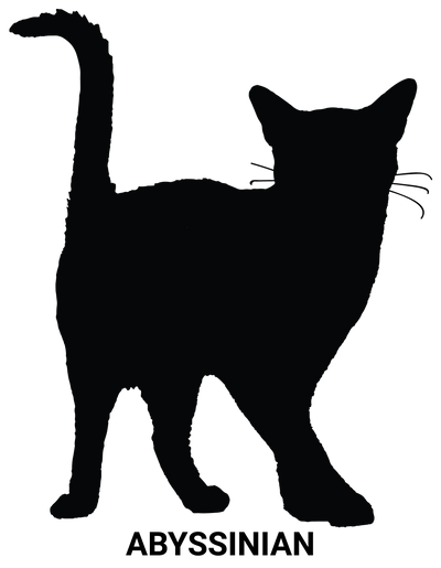 Abyssinian Cat Breed T-Shirt