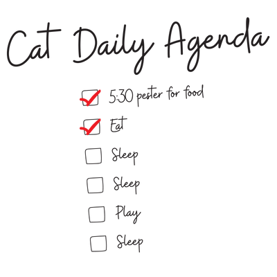 Daily Cat Agenda T-Shirt