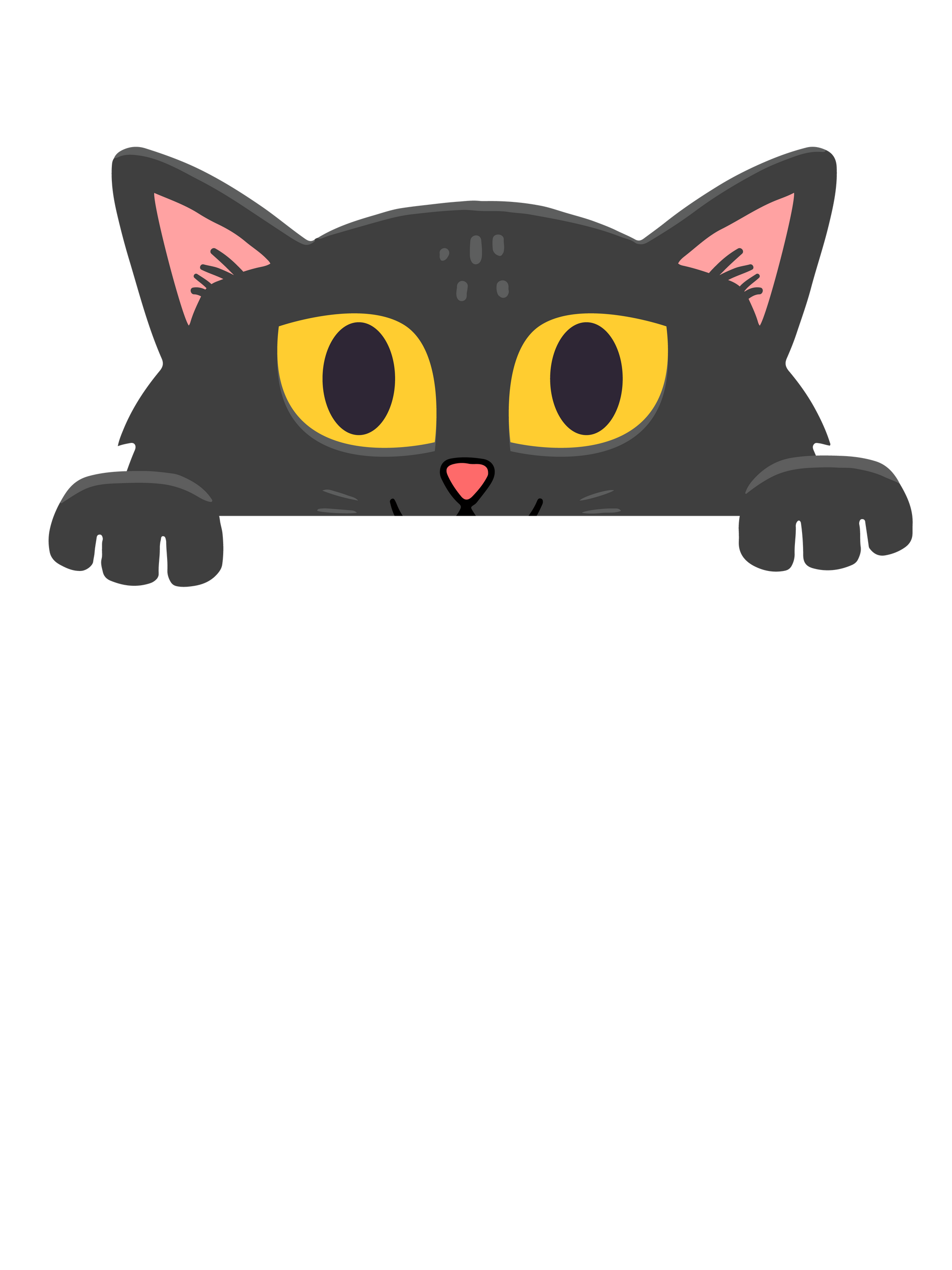 Peek a Boo Cat T-Shirt Cat Bandit Cat Shirts Sponsoring Rescue