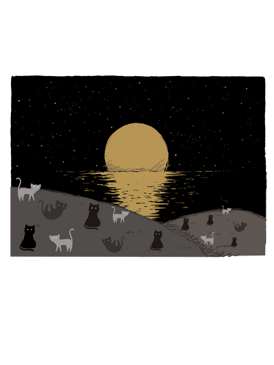 Moonlight Cats T-Shirt