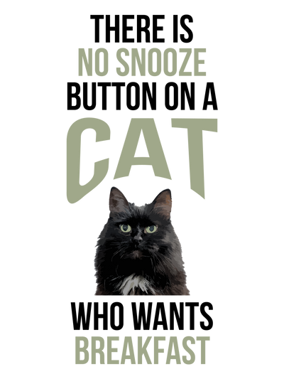 No Sleeping In Cat T-Shirt