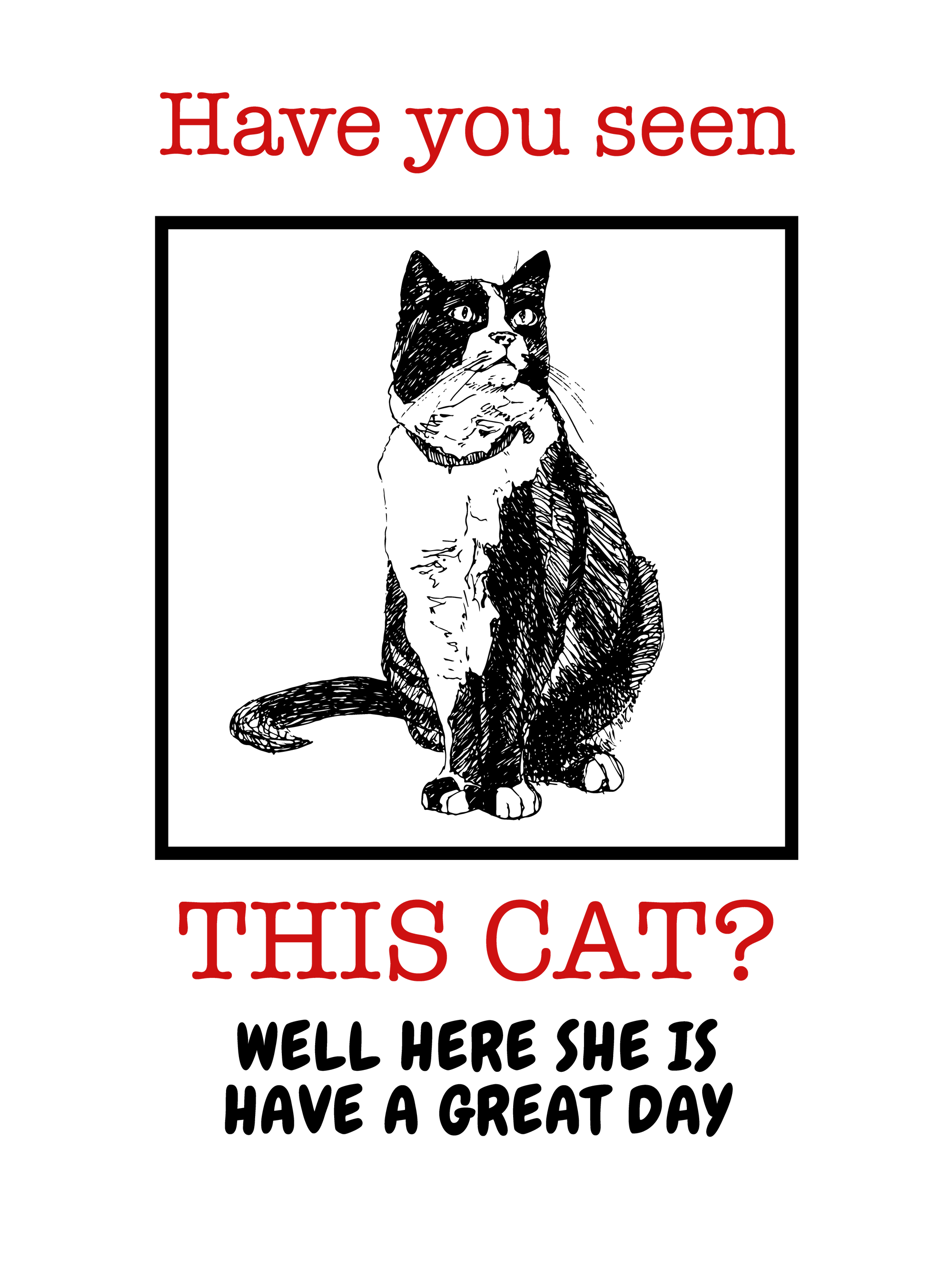 Have You Seen This Cat T-Shirt