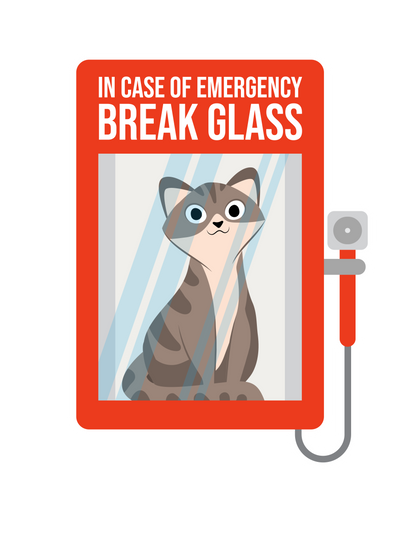 In Case of Cat Emergency T-Shirt
