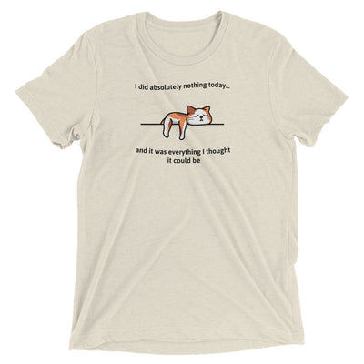 I Did Absolutely Nothing Cat T-Shirt