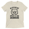 Cat Doesn't Approve Shenanigans T-Shirt
