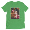 Christmas Ornament Cat T-Shirt